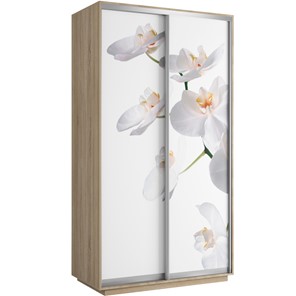 Шкаф 2-х створчатый Хит 1200x600x2200, белая орхидея, дуб сонома в Южно-Сахалинске