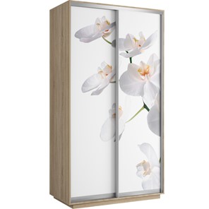 Шкаф 2-створчатый Хит 1200x600x2200, белая орхидея, ясень шимо светлый в Южно-Сахалинске