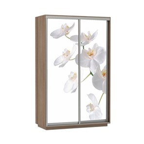 Шкаф Экспресс 1200x600x2400, Орхидея белая/шимо темный в Южно-Сахалинске - предосмотр