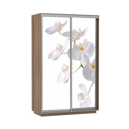 Шкаф Экспресс 1200x600x2400, Орхидея белая/шимо темный в Южно-Сахалинске - изображение