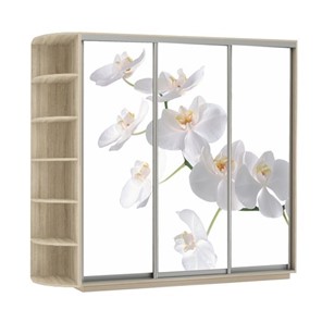 Шкаф 3-дверный Экспресс со стеллажом, 2700х600х2400, Орхидея белая/дуб сонома в Южно-Сахалинске - предосмотр
