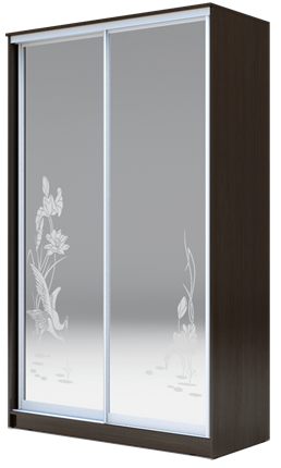 Шкаф-купе 2-х створчатый 2400х1682х420 два зеркала, "Цапли" ХИТ 24-4-17-66-01 Венге Аруба в Южно-Сахалинске - изображение