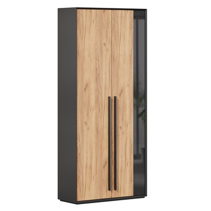 Шкаф для прихожей 2-дверный Неаполь ЛД.134050.000 (Черный/Дуб Золотой) в Южно-Сахалинске - изображение