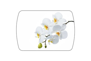 Стол раздвижной Танго, белый/орхидея в Южно-Сахалинске - предосмотр 3
