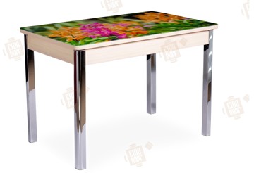 Кухонный стол раздвижной Айсберг-02 СТФ, Дуб ЛДСП/полевые цветы/ноги хром квадратные в Южно-Сахалинске