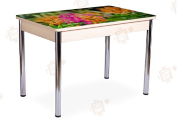 Кухонный раздвижной стол Айсберг-02 СТФ, Дуб ЛДСП/полевые цветы/ноги хром прямые в Южно-Сахалинске