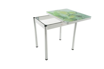 Обеденный раздвижной стол Бари дерево №8 (Exclusive h135/белый) в Южно-Сахалинске - предосмотр 2