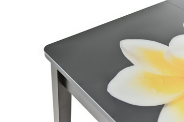 Кухонный стол раздвижной Гамбург исп. 1, ноги метал. крашеные №23 (Exclusive h041/белый) в Южно-Сахалинске - предосмотр 9