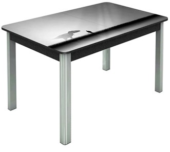 Раздвижной стол Гамбург исп. 1, ноги метал. крашеные №23 (Exclusive h192/черный) в Южно-Сахалинске - предосмотр