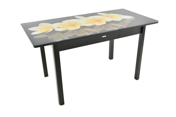 Кухонный стол раздвижной Гамбург исп. 1, ноги метал. крашеные №23 (Exclusive h273/черный) в Южно-Сахалинске - изображение 6