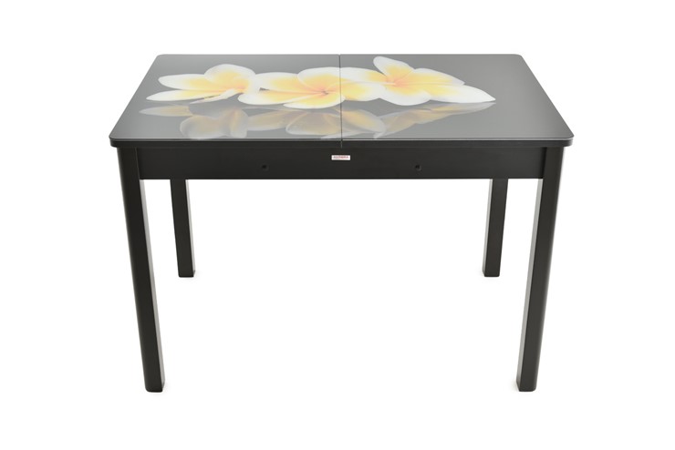 Кухонный стол раздвижной Гамбург исп. 1, ноги метал. крашеные №23 (Exclusive h273/черный) в Южно-Сахалинске - изображение 7
