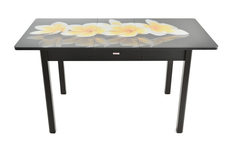Кухонный стол раздвижной Гамбург исп. 1, ноги метал. крашеные №23 (Exclusive h273/черный) в Южно-Сахалинске - изображение 8