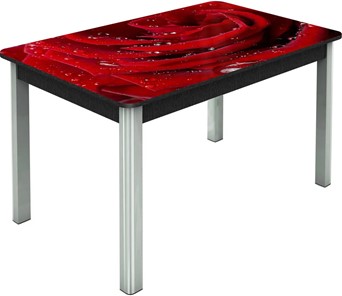 Кухонный стол раскладной Гамбург исп.2 ноги метал. крашеные №23, Фотопечать (Цветы №39) в Южно-Сахалинске