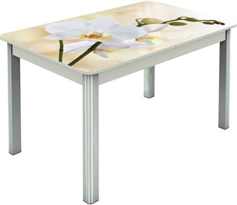 Кухонный стол раскладной Гамбург исп.2 ноги метал. крашеные №23, Фотопечать (Цветы №5) в Южно-Сахалинске