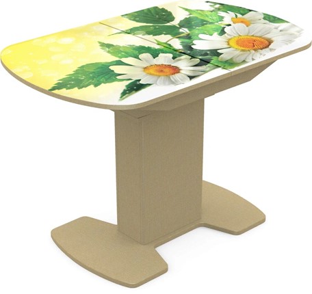 Обеденный раздвижной стол Корсика исп. 2 Фотопечать (Цветы №3) 1200(1515)*800 в Южно-Сахалинске - изображение
