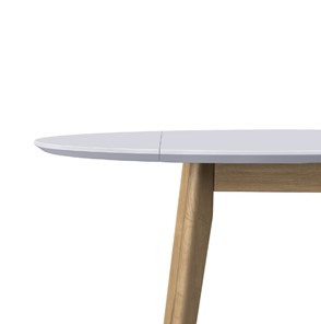 Кухонный стол раздвижной Орион Drop Leaf 100, Дуб/белый в Южно-Сахалинске - предосмотр 2