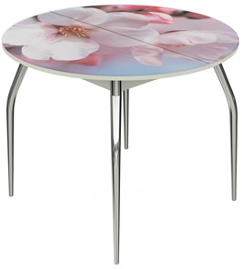 Кухонный раскладной стол Ривьера - Круг, ноги метал. крашеные №24, ФП (Цветы №15) в Южно-Сахалинске