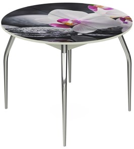 Кухонный стол раскладной Ривьера - Круг, ноги метал. крашеные №24, ФП (Цветы №19) в Южно-Сахалинске
