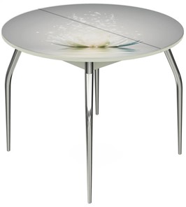 Кухонный раскладной стол Ривьера - Круг, ноги метал. крашеные №24, ФП (Цветы №29) в Южно-Сахалинске