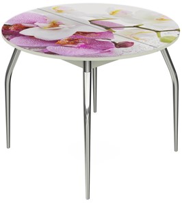 Кухонный раскладной стол Ривьера - Круг, ноги метал. крашеные №24, ФП (Цветы №44) в Южно-Сахалинске