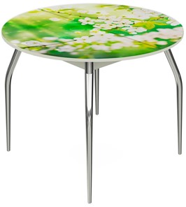 Раздвижной стол Ривьера - Круг, ноги метал. крашеные №24, ФП (Цветы №45) в Южно-Сахалинске