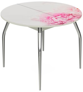 Кухонный раскладной стол Ривьера - Круг, ноги метал. крашеные №24, ФП (Цветы №49) в Южно-Сахалинске