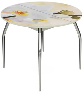 Кухонный стол раскладной Ривьера - Круг, ноги метал. крашеные №24, ФП (Цветы №5) в Южно-Сахалинске