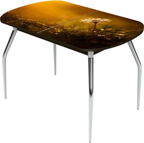 Обеденный раздвижной стол Ривьера исп.1 ноги метал. крашеные №24 Фотопечать (Цветы №43) в Южно-Сахалинске