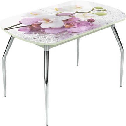 Кухонный раздвижной стол Ривьера исп.1 ноги метал. крашеные №24 Фотопечать (Цветы №44) в Южно-Сахалинске - изображение