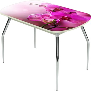 Кухонный стол раскладной Ривьера исп.2 ноги метал. крашеные №24 Фотопечать (Цветы №16) в Южно-Сахалинске