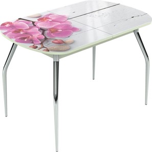 Кухонный раскладной стол Ривьера исп.2 ноги метал. крашеные №24 Фотопечать (Цветы №24) в Южно-Сахалинске