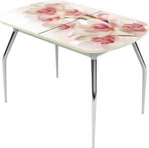 Обеденный раздвижной стол Ривьера исп.2 ноги метал. крашеные №24 Фотопечать (Цветы №8) в Южно-Сахалинске