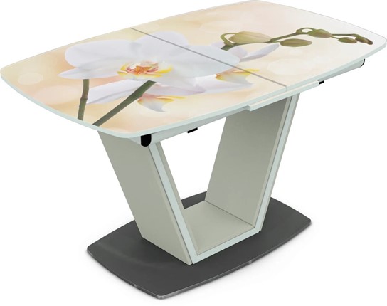 Кухонный стол раскладной Севилья Фотопечать (Цветы №5) в Южно-Сахалинске - изображение