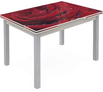 Обеденный раздвижной стол Шанхай исп. 2, ноги метал. крашеные №21 Фотопечать (Цветы №39) в Южно-Сахалинске