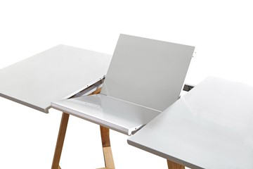 Раздвижной стол T1692 белый/ясень (WK-03) в Южно-Сахалинске - предосмотр 2