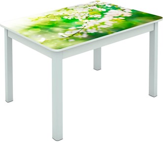 Обеденный стол Мюнхен исп. 1 ноги метал. крашеные №23 Фотопечать (Цветы №45) в Южно-Сахалинске