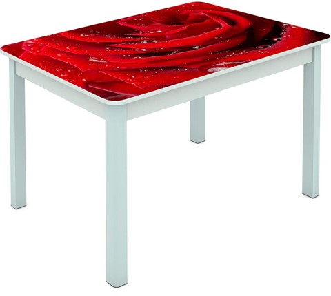 Кухонный стол Мюнхен исп. 2 ноги метал. крашеные №23 Фотопечать (Цветы №39) в Южно-Сахалинске - изображение