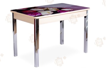 Кухонный стол раскладной Айсберг-01 СТФ, дуб/фотопечать пионы/ноги хром квадратные в Южно-Сахалинске
