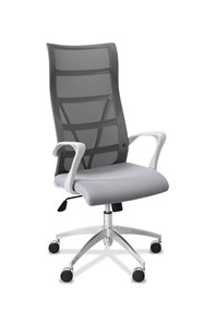 Кресло для руководителя Топ X белый каркас, сетка/ткань TW / серая/ серая в Южно-Сахалинске - предосмотр