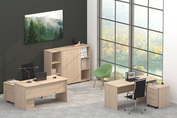 Набор мебели в офис Twin в Южно-Сахалинске - предосмотр 4