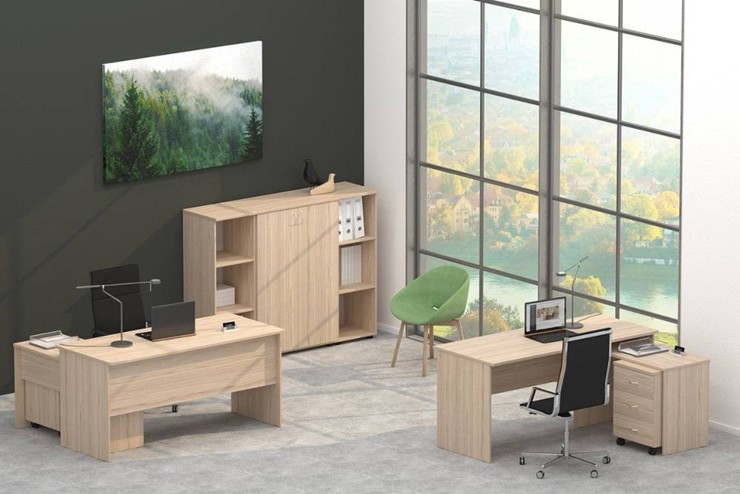 Набор мебели в офис Twin в Южно-Сахалинске - изображение 4