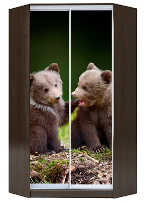 Шкаф угловой Хит-У-24-4-77-25, Медвежата, Венге в Южно-Сахалинске - изображение