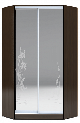 Шкаф угловой 2200х1103, ХИТ У-22-4-66-01, цапля, 2 зеркала, венге аруба в Южно-Сахалинске - изображение