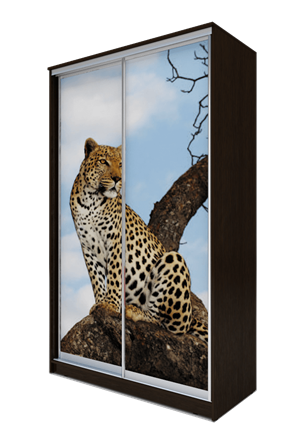 Шкаф 2-х дверный 2400х1500х620, Леопард ХИТ 24-15-77-04 Венге Аруба в Южно-Сахалинске - изображение