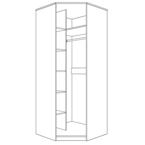 Шкаф угловой с дверью ПАРМА НЕО,  лиственница темная в Южно-Сахалинске - предосмотр 1