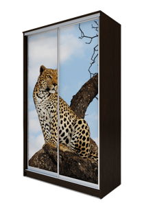 Шкаф 2-х створчатый 2200х1500х420, Леопард ХИТ 22-4-15-77-04 Венге Аруба в Южно-Сахалинске
