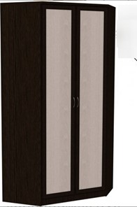 Шкаф распашной 403 несимметричный, цвет Венге в Южно-Сахалинске - предосмотр