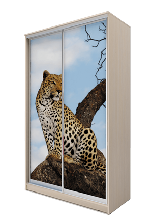 Шкаф 2-х дверный 2300х1200х620, Леопард ХИТ 23-12-77-04 Дуб Млечный в Южно-Сахалинске - изображение