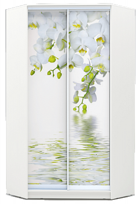 Угловой шкаф 2200х1103, ХИТ У-22-4-77-05, Белая орхидея, белая в Южно-Сахалинске - изображение