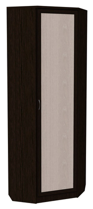 Шкаф распашной 402 угловой со штангой, цвет Венге в Южно-Сахалинске - изображение